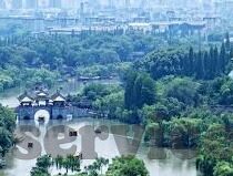 中国德州扑克名人-中国德州扑克名人，技艺与智慧的碰撞